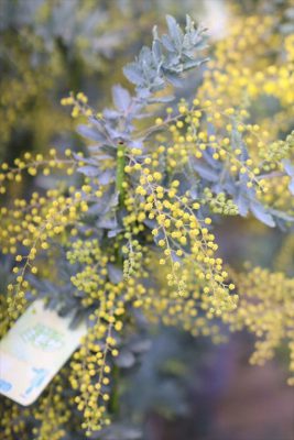 写真 2026-02-20 15 38 35_R_1