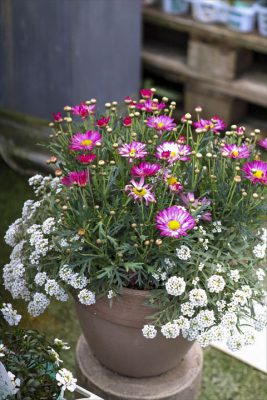 写真 2026-02-05 15 51 50_R_1