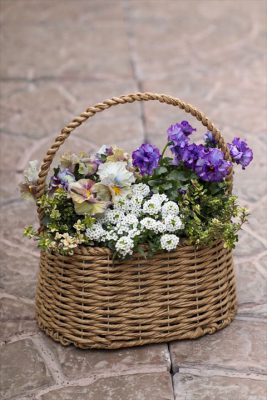 写真 2026-02-20 16 30 05_R_1