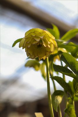 写真 2026-02-23 16 49 13_R_1