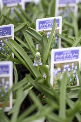 写真 2026-02-10 16 48 47_R_1