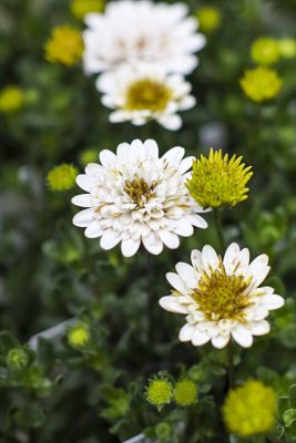 写真 2026-02-27 16 41 52_R_1