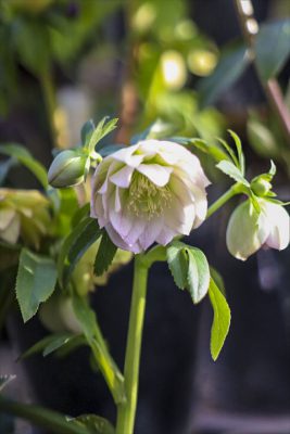 写真 2026-02-23 16 44 34_R_1