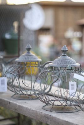 写真 2026-02-01 16 58 55_R_1