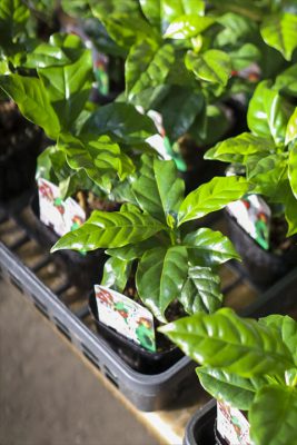 写真 2026-02-18 15 57 42_R_1