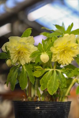 写真 2026-02-23 16 53 01_R_1