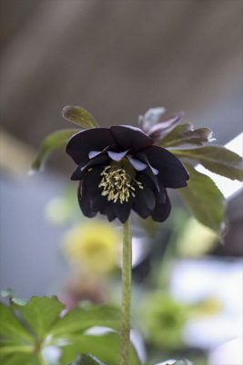 写真 2026-02-25 15 49 39_R_1