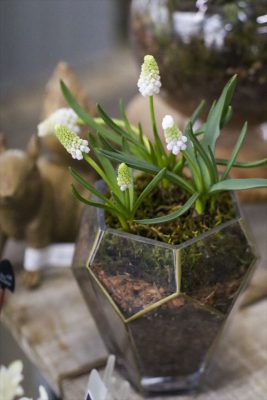 写真 2026-02-16 15 41 20_R_1