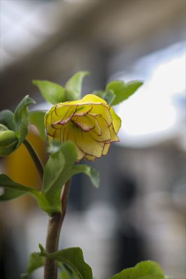 写真 2026-02-05 10 50 22_R_1