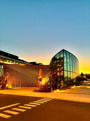 写真 2026-02-03 18 14 14_1