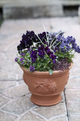 写真 2026-02-01 16 55 40_R_1