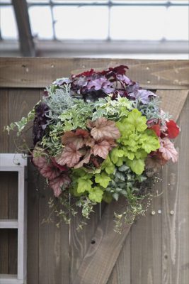 写真 2026-02-07 9 50 53_R_1