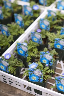 写真 2026-02-19 16 03 38_R_1