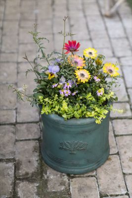 写真 2026-02-21 16 57 57_R_1