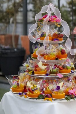 写真 2026-02-24 17 04 35_R_1