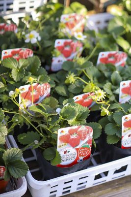 写真 2026-02-18 16 01 14_R_1