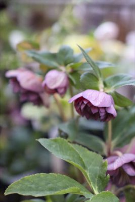 写真 2026-02-20 16 58 29_R_1