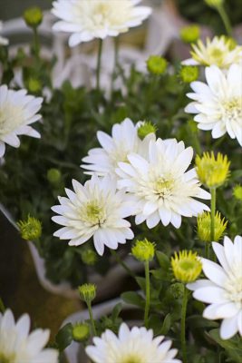 写真 2026-02-18 15 41 08_R_1