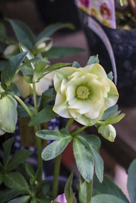 写真 2026-02-26 16 22 16_R_1