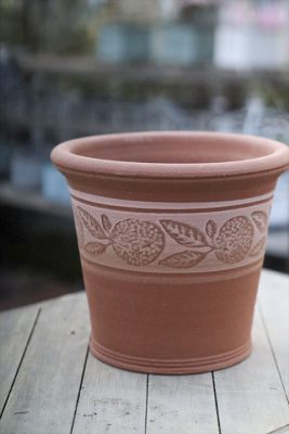 写真 2026-02-01 16 35 58_R_1