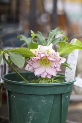 写真 2026-02-05 10 59 22_R_1