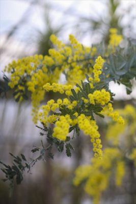 写真 2026-02-20 15 38 01_R_1