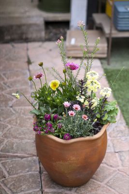 写真 2026-02-06 16 05 41_R_1