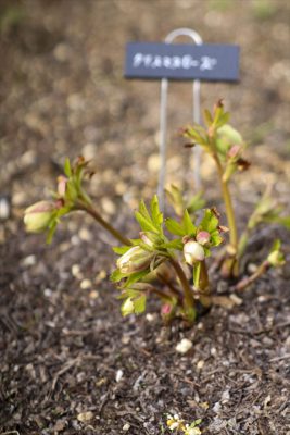 写真 2026-02-19 16 11 40_R_1