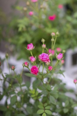 写真 2026-02-20 16 54 07_R_1