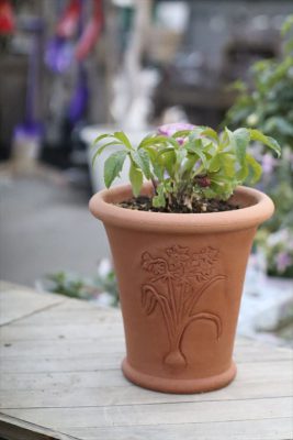 写真 2026-02-01 16 36 31_R_1