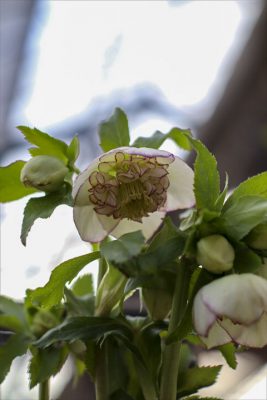 写真 2026-02-11 16 41 25_R_1