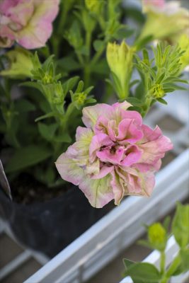 写真 2026-03-19 16 49 09_R_1