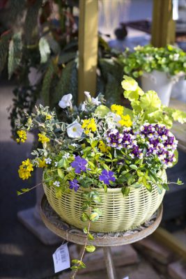 写真 2026-03-20 16 30 12_R_1