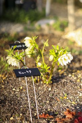 写真 2026-02-28 16 37 50_R_1