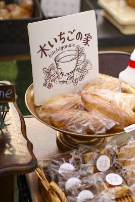 写真 2026-03-08 9 54 42_R_1