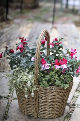 写真 2026-03-25 15 48 36_R_1