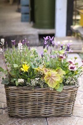 写真 2026-03-12 16 08 33_R_1