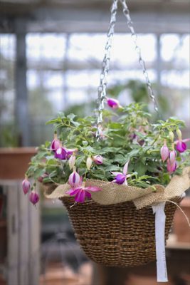 写真 2026-03-25 15 47 39_R_1