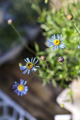 写真 2026-03-17 16 37 51_R_1