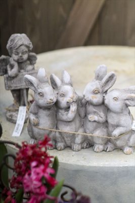 写真 2026-03-03 16 07 47_R_1