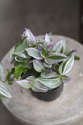 写真 2026-03-25 15 46 29_R_1