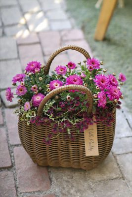 写真 2026-03-20 16 20 08_R_1