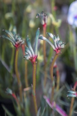 写真 2026-03-23 17 36 53_R_1