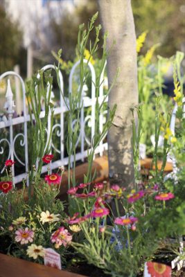 写真 2026-03-05 16 23 17_R_1