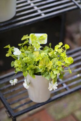 写真 2026-03-08 15 52 39_R_1