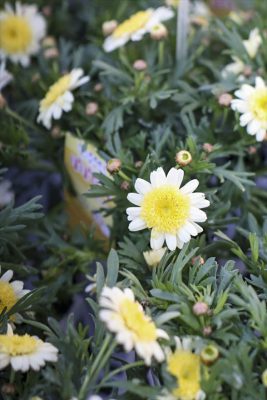 写真 2026-03-04 16 44 54_R_1