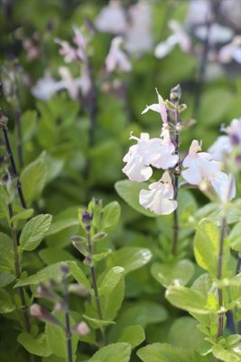 写真 2026-03-26 16 38 09_R_1