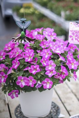 写真 2026-03-25 15 51 03_R_1