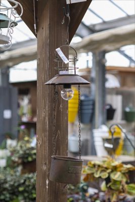 写真 2026-03-02 15 46 02_R_1