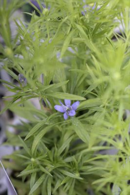 写真 2026-03-26 16 46 43_R_1